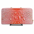 Wallet- Authentic Brahmin Skyler Large Travel Wallet/Clutch (zip around)